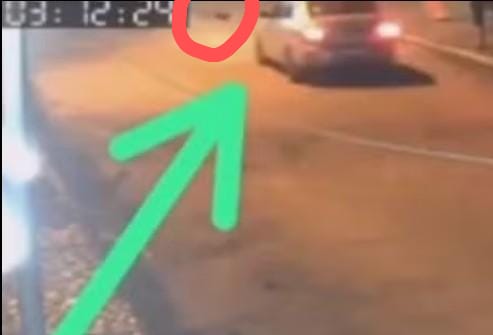 POLÍCIA CIVIL PRENDE HOMEM SUSPEITO DE ATROPELAR E MATAR ANIMAL DE ESTIMAÇÃO DA EX-NAMORADA EM IMPERATRIZ