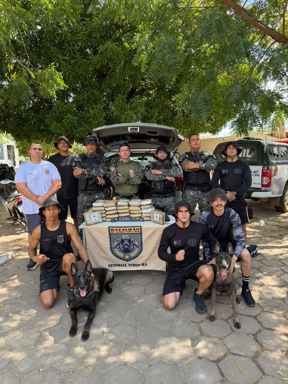 Canis da PM e da Polícia Civil encontram mais 30 kg de maconha em veículo alvo de investigação