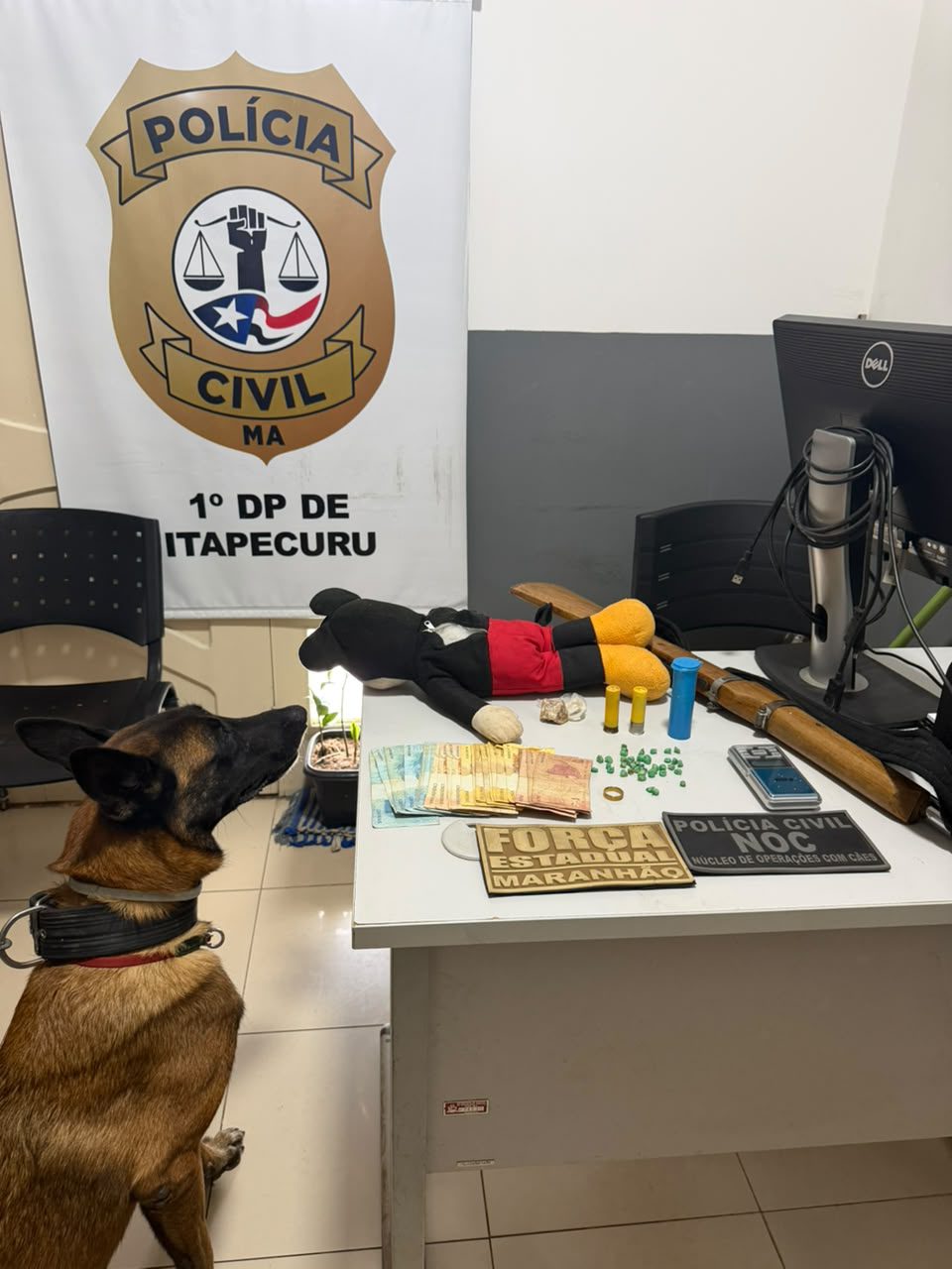 Operação Protetor dos Biomas e Fronteiras prende suspeito por tráfico de drogas e porte ilegal de arma em Itapecuru-Mirim